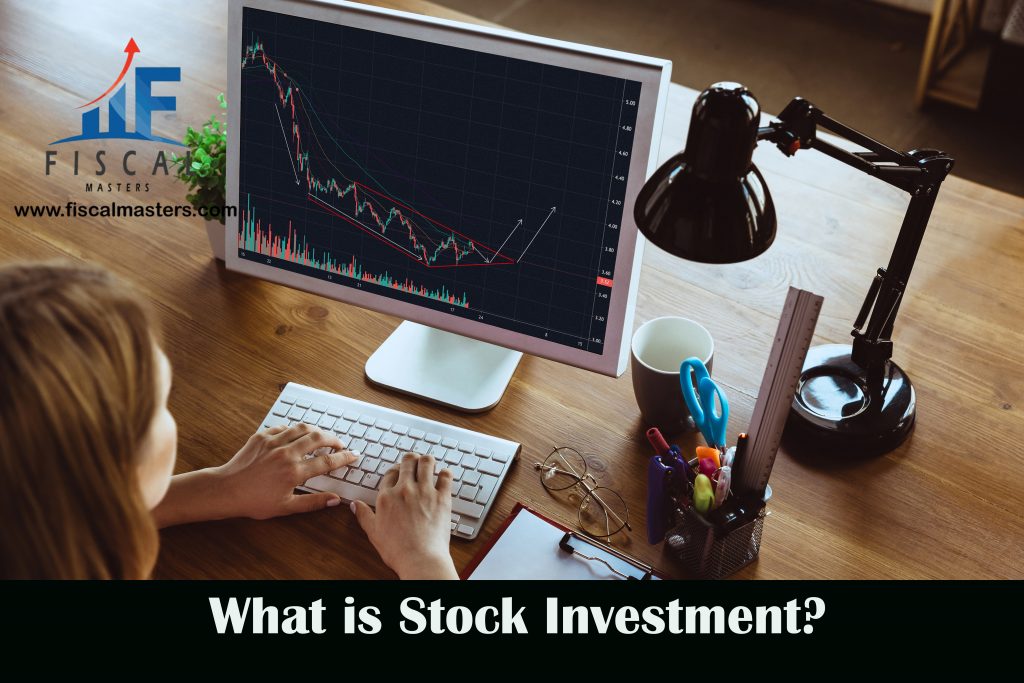 what is stock investment