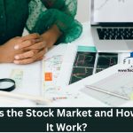 Stock Market